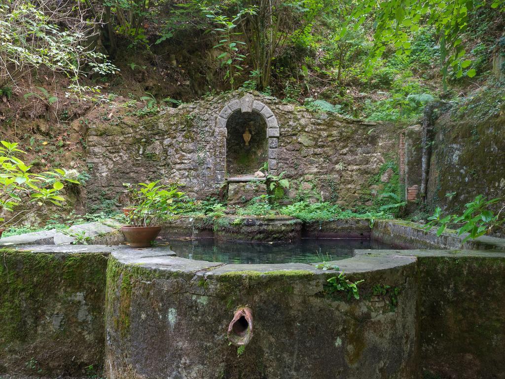 Agriturismo Le Fontanacce Pescia Eksteriør bilde